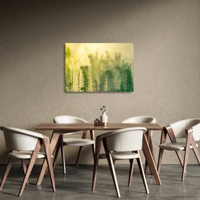 Üveg kép - Részlet a tavaszi ködös természetből (70x50 cm)