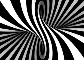 Absztrakt kép zebra csíkokkal (üvegen) (70x50 cm)