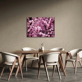 Kép - Rózsaszín sakura (70x50 cm)
