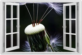 Poszterek 120x80 Pitypang Virág Virágok