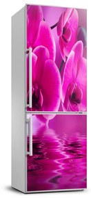 Matrica hűtőre Rózsaszín orchidea FridgeStick-70x190-f-58002130