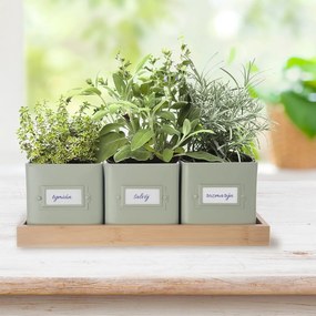 Fém virágcserép készlet fűszernövényekhez 3 db-os Greenish – Orion