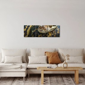 Kép - Piton (órával) (90x30 cm)