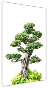 Egyedi üvegkép Bonsai fa osv-88907159