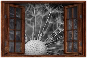 Poszterek 90x60 Pitypang Virág Virágok