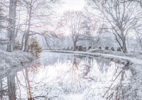 Poszter 66,5x46,5cm Csatorna fákkal, Assaf Frank