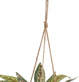 Műnövény (magasság 25 cm) – Casa Selección