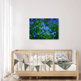 A kék virágok képe (üvegen) (70x50 cm)