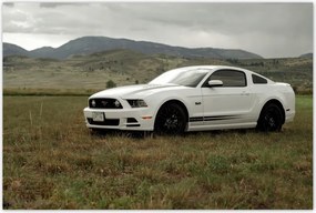 Poszter 60x40 Fehér Ford Mustang