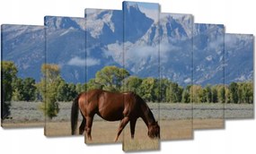 Vászonkép 140x80 Ló a prérin