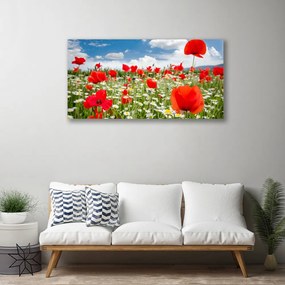 Vászonkép falra Mezei virágok Természet 125x50 cm