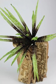 Zöldesbarna mű anyósnyelv (sansevieria) 80cm