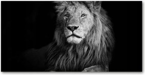 Edzett üveg panel konyhába Oroszlán 100x50 Ragasztó