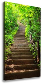 Vászon nyomtatás Lépcsők az erdő ocv-64602370