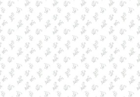 Fotótapéta - Ágacskák (147x102 cm)