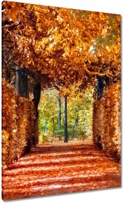 Vászonkép 70x100 Tájkép Látvány