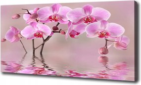 Vászonkép Rózsaszín orchidea 120x60 cm