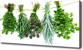 Vászonkép Gyógynövények zsinóron 100x70 cm