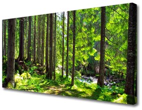 Vászonkép nyomtatás Nature Plant Erdei fák 100x50 cm