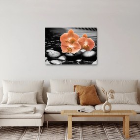 Kép - Narancssárga orchideák (70x50 cm)