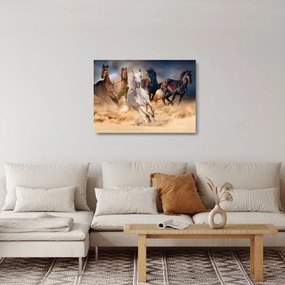 Kép - lovak a sivatagban (üvegen) (70x50 cm)