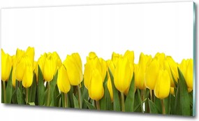 Fotó kép fotó edzett üveg Bambusz 125x50