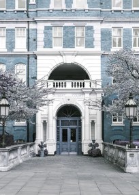 Poszter 50x70cm Albert bíróság épülete, Assaf Frank