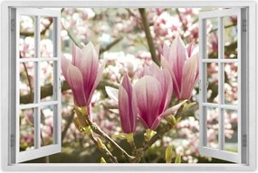 Poszterek 90x60 Magnólia