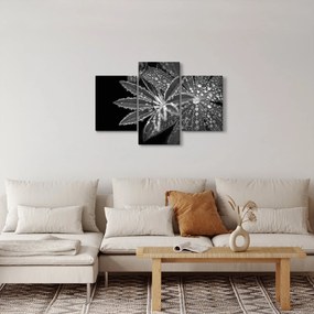 Kép - Levelek cseppekkel (90x60 cm)