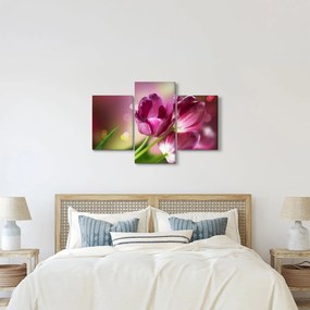 Rózsaszín tulipánok képe (90x60 cm)