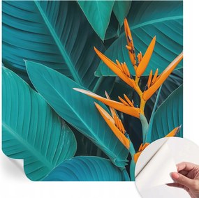 Öntapadós tapéta Divatos 3D fali ragasztóval Leveles virágok 250x250 cm