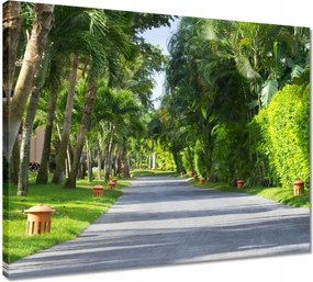 Vászonkép 50x40 Park Falevelek