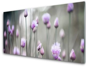 Modern üvegkép Virág Vadvirágok Mező Természet 125x50 cm