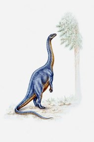 Illusztráció Illustration of a Plateosaurus reaching for, Dorling Kindersley