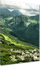 Vászonkép 70x100 Tátra Lengyel hegyek Kilátás