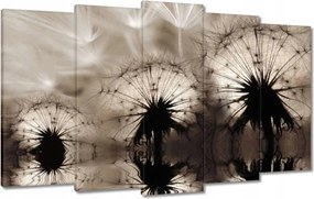 Képek 100x60 Pitypangok szépia papírsárkányok