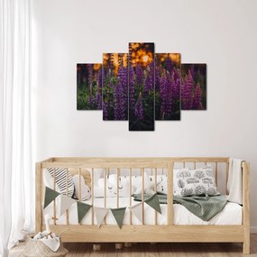 Egy csillagfürt virág képe (150x105 cm)