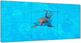Vászonkép 60x30 Delfin