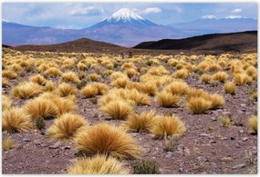 Plakátok 200x135 Tájképek Nézetek Tájképek