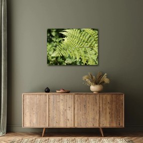 Kép - Páfránylevél (70x50 cm)