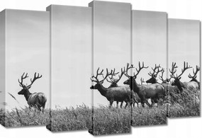 Vászonkép 70x50 Szarvascsorda