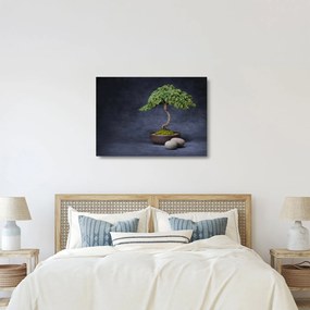 Kép - Bonsai (üvegen) (70x50 cm)