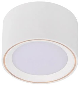 Nordlux - LED dimmelhető spotlámpa FALLON LED/5,5W/230V fehér
