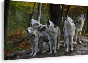 Kép - Farkasok a sziklán (90x60 cm)