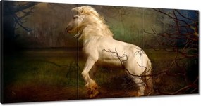 Vászonkép 180x90 Ló Lovak Lovaglás