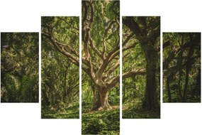 Fa képe (150x105 cm)