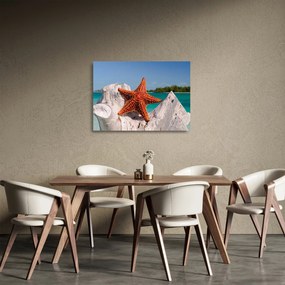 Egy tengeri csillag képe (üvegen) (70x50 cm)