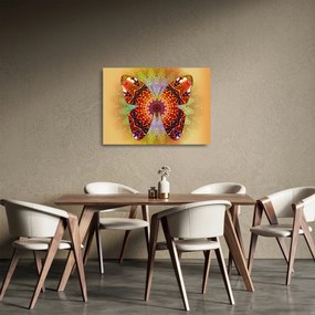 Kép - etno pillangó (üvegen) (70x50 cm)