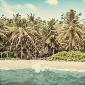 Flizelin fotótapéta Flizelin Design Trópusi tengerpart 250x250