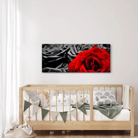Kép - Rózsák (120x50 cm)